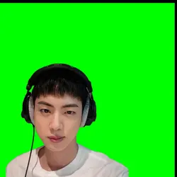with kim seokjin 