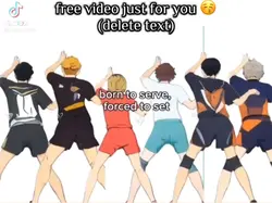 haikyuu setters 
