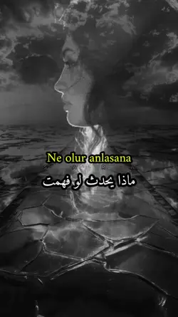 S    A    R    A