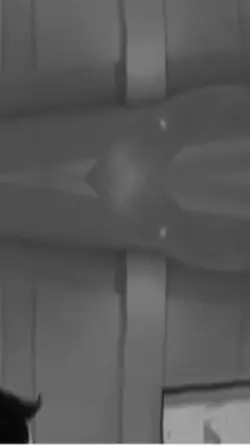 🖤با بدهکار شدی