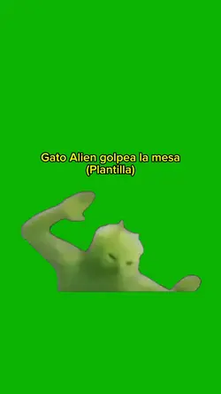 Gato golpea la mesa