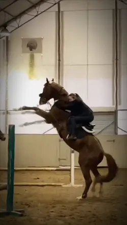 Horse riding Slowmo