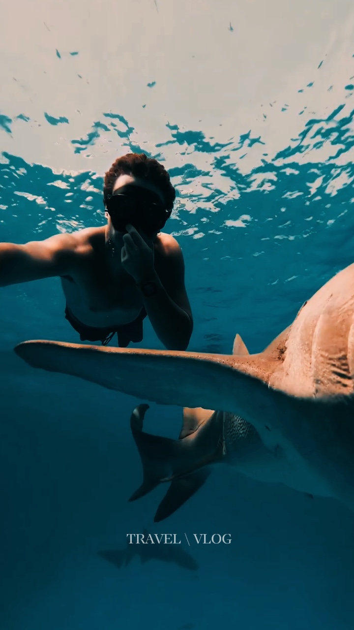 Travel Vlog 2025 Capcut