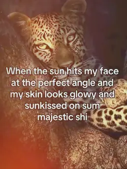 the sun hits my face