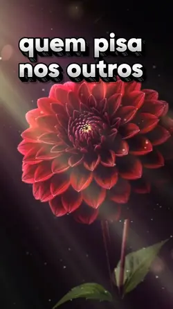 reflexão motivação