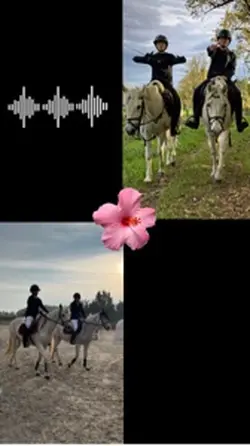 2 photos 