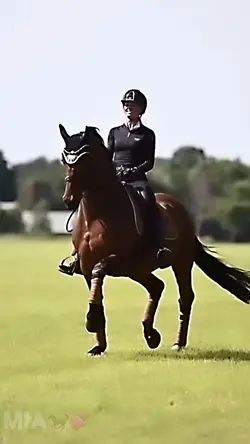 Free Horse Edit 