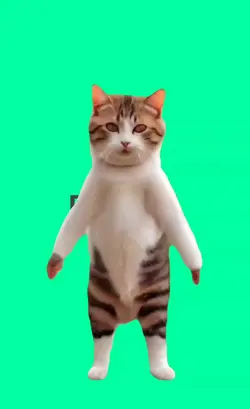 TREND EDIT NEW