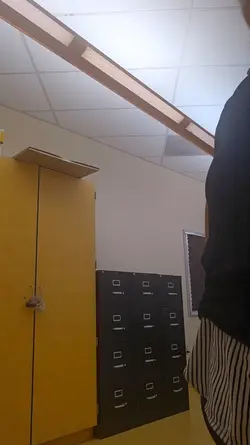 Maestra