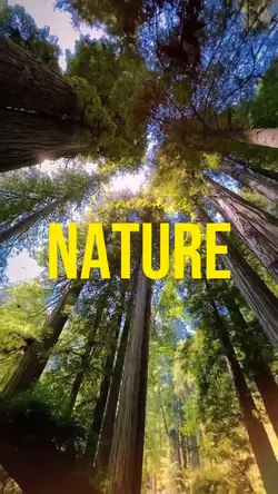 Cinematic Nature