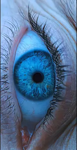 4K MOVIE FREE EDIT 