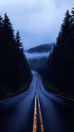 Video template 