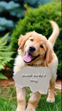 back to life dog