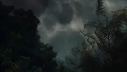 sky trend 
