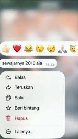 sewajarnya 2016 aja