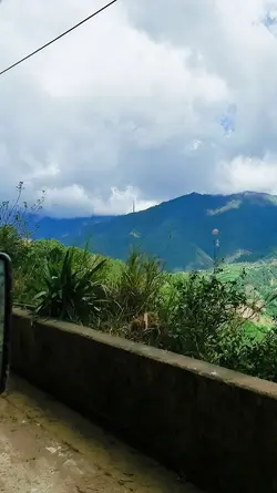 SAPATA