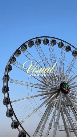 Mini Vlog