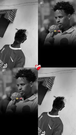 New template|follow 