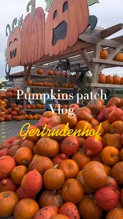 Pumpkins Patch 2024