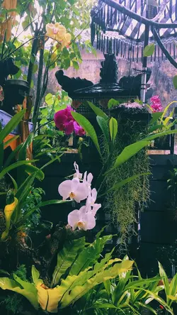Rainy ChilL