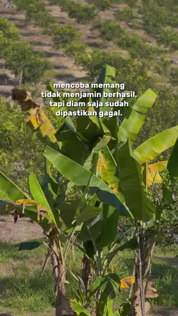 Mencoba memang tidak