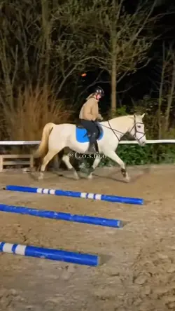 STORMYYY BOII