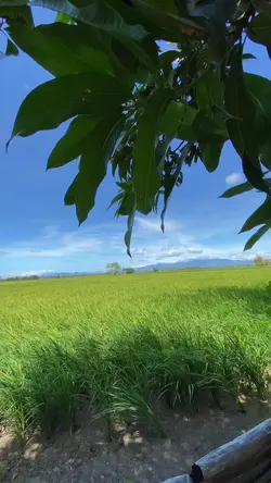 PROVINCE