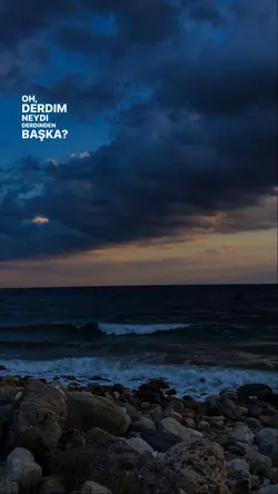 yeni şablon
