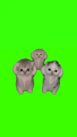 cat dancing meme