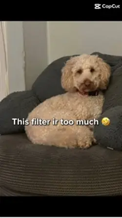 Microwave filter Ai 