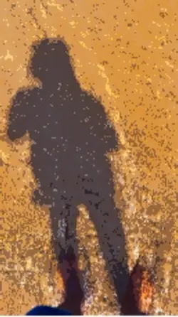 At the beach