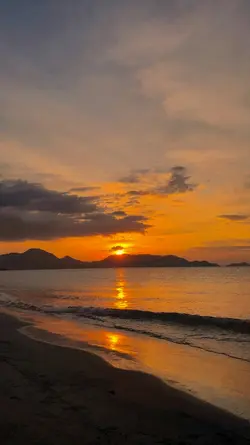 filter senja