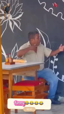 funny videos