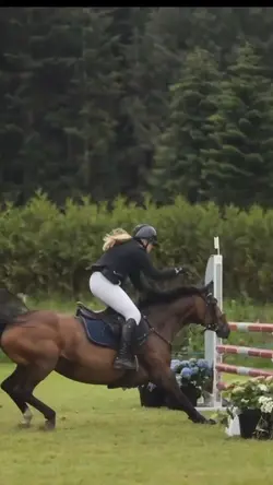 Equestrian sport 😱