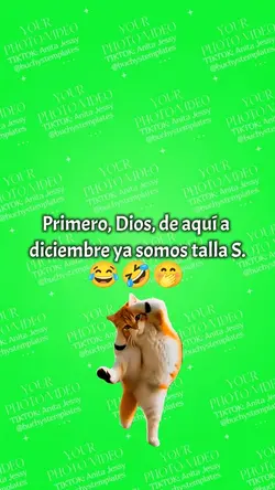 meme talla S 