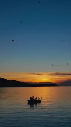 aesthetic sunset