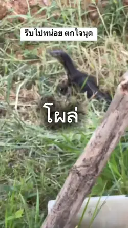 1รูปตกใจ