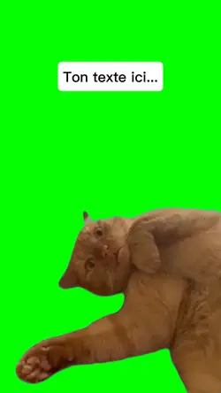 Chat à peur