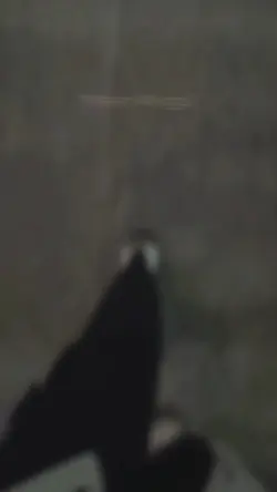 malam minggu