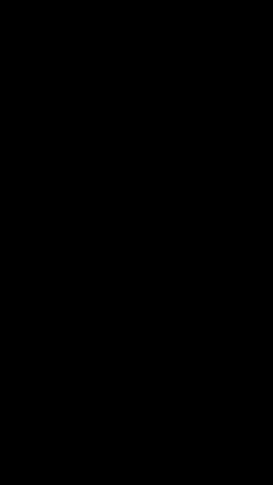 Islamic videos 
