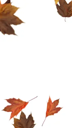 leaf fall vertical 