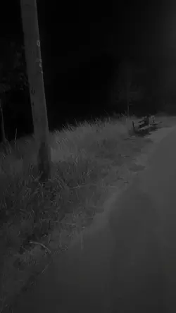 WHILE YOU’RE GONE