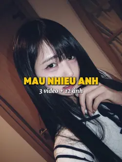 3 video + 12 ảnh 