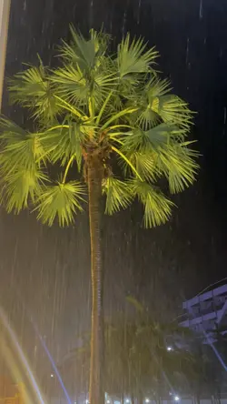 Raining 