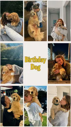 Birthday dog