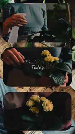Today planting vlog