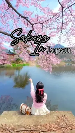 Sakura in japan