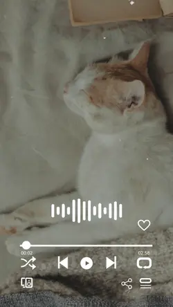 I Love You Cat