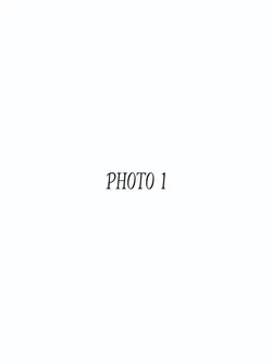 Collage Template 