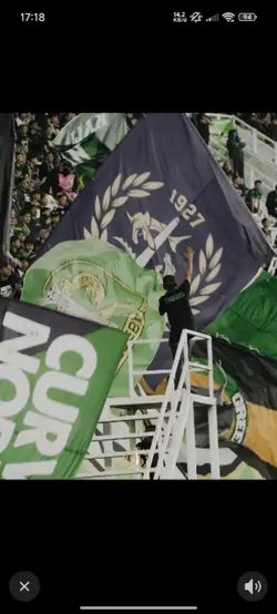 Persebaya surabaya